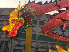 -锦江乐园舞狸花花游园会(夜场专享)