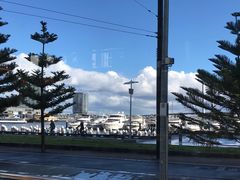 -墨尔本之星 观景摩天轮
