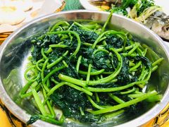 蒜蓉番薯叶-成惠食府(赤岗店)