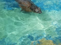 -太平洋海底世界