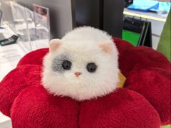 -鹰巢数码·EAGLE’S NEST(SKP店)