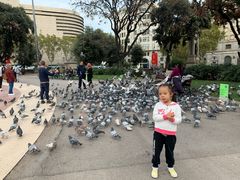 -加泰罗尼亚广场