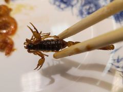 -老江南春·中国龙菜(衡山路店)