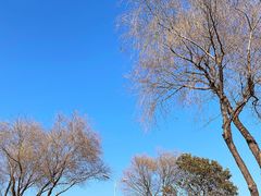 -滴水湖