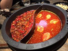 -销魂美蛙鱼头火锅(上海首店)