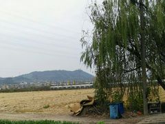 -李东农庄(中南百草园地标店)