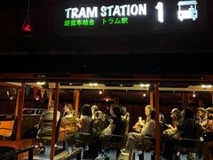 -夜间野生动物园