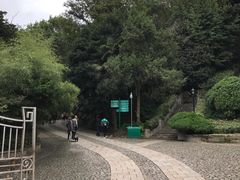 门面-紫金山天文台