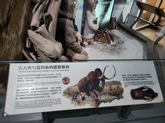 -正佳自然科学博物馆