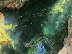 -好灶头妈妈菜·千岛湖柴火鱼餐厅(桐庐店)