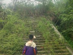 -青龙山国家森林公园