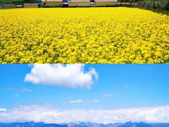 -扁都口生态休闲旅游区