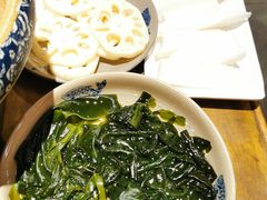 鲜藕片-重庆渝达老火锅(春熙路店)