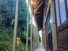 -武陵山森林公园