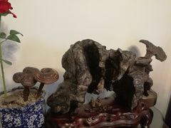 -白家餐厅(徐家汇店)