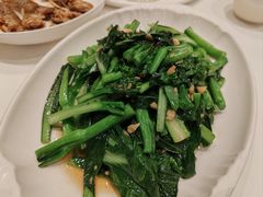 -粤珍轩·家宴·广式茶点(新城广场店)