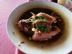 港蒸东星斑-旗鱼海番村(Orang Asli)