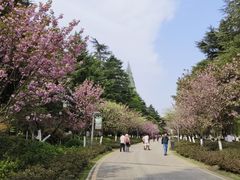 -花溪公园