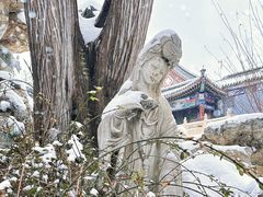 -莲池书院博物馆