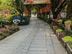 -青青世界