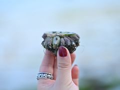 -北海金海湾红树林生态旅游区