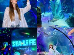 -沈阳海洋探索中心