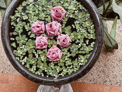 -吴哥国家博物馆