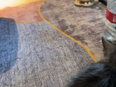 -和府捞面(北美新天地店)