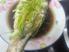 -天鹅到家·保姆月嫂育儿嫂(朝阳店)