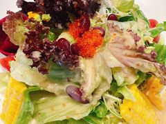 鱼籽蔬菜沙拉-渔家风味·鲅鱼水饺·央视展播·海鲜天津菜(开发区店)