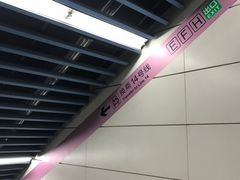 -大望路(地铁站)
