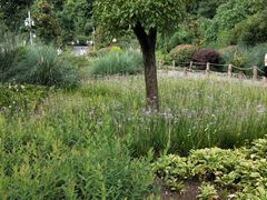 -贵阳市花溪国家城市湿地公园