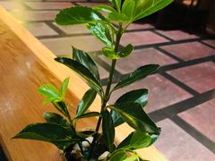 -羡餐厅·杭帮菜·淳菜(千岛湖自由洲际殿店)