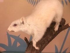 -陕西自然博物馆