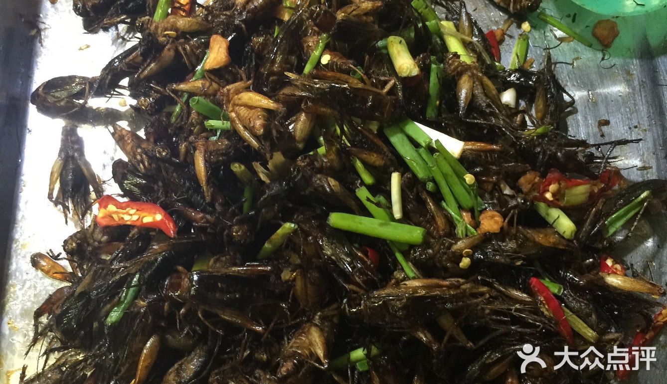 我在柬埔寨吃的各种虫子