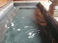 -咸宁万豪温泉谷度假区