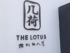 -几荷·恰似故人来(秀水广场店)