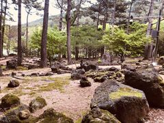 -汉拿树木园