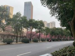 -成都市活水公园