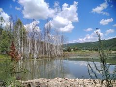 -洮儿河国家湿地公园