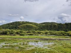 -御道口草原森林风景区