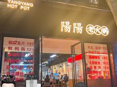 -阳阳老火锅(小南门店)