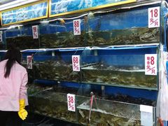 水产区-青石桥市场北1-27号
