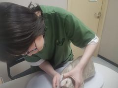 -瑞鹏宠物医院·骨科·猫科·内科(第一中心)