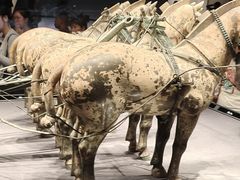 -秦始皇帝陵博物院-丽山园