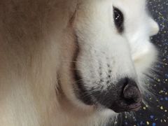 -RoMan罗马健身工作室(莘庄店)