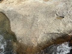 -海南热带雨林国家公园吊罗山景区