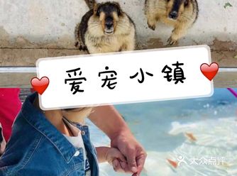 在清爽微热的初夏，带娃好好的出来走一走，玩一玩是最好