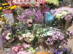 -AEON永旺(东方宝泰店)