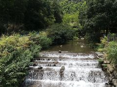 -宁波五龙潭景区